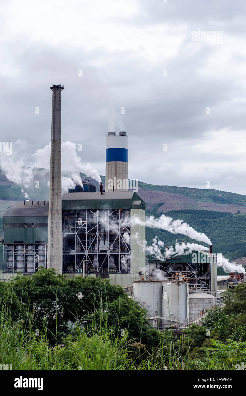 Smoke and steam pollution belch from chimneys in a paper mill. Stock Photo