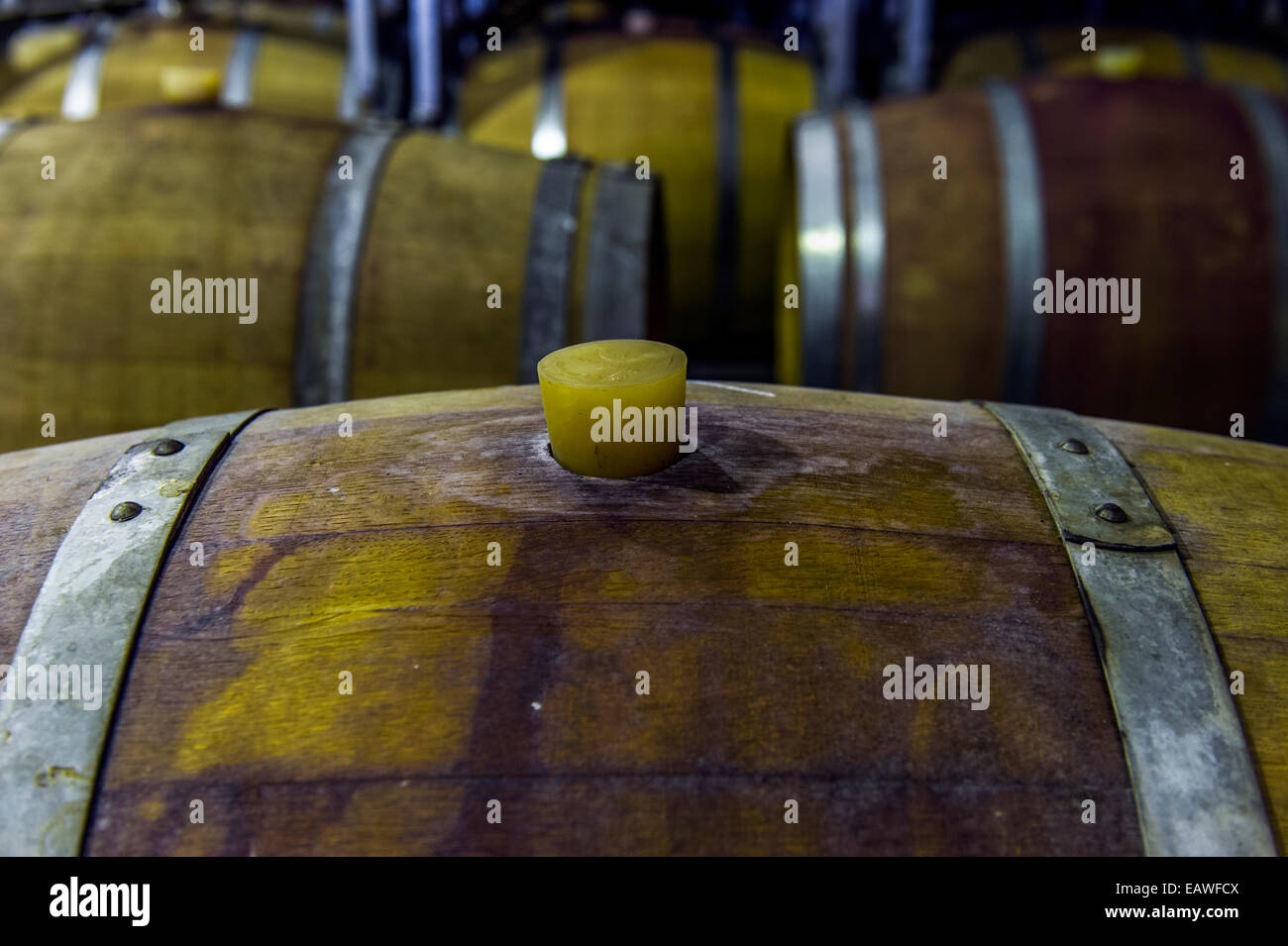 A rubber bung is used to seal a wine barrel at a vineyard Stock Photo
