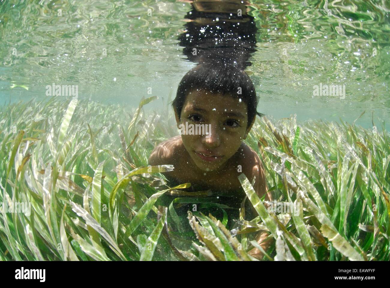 A young boy swims through sea grass in the shallows of the Caribbean. Stock Photo