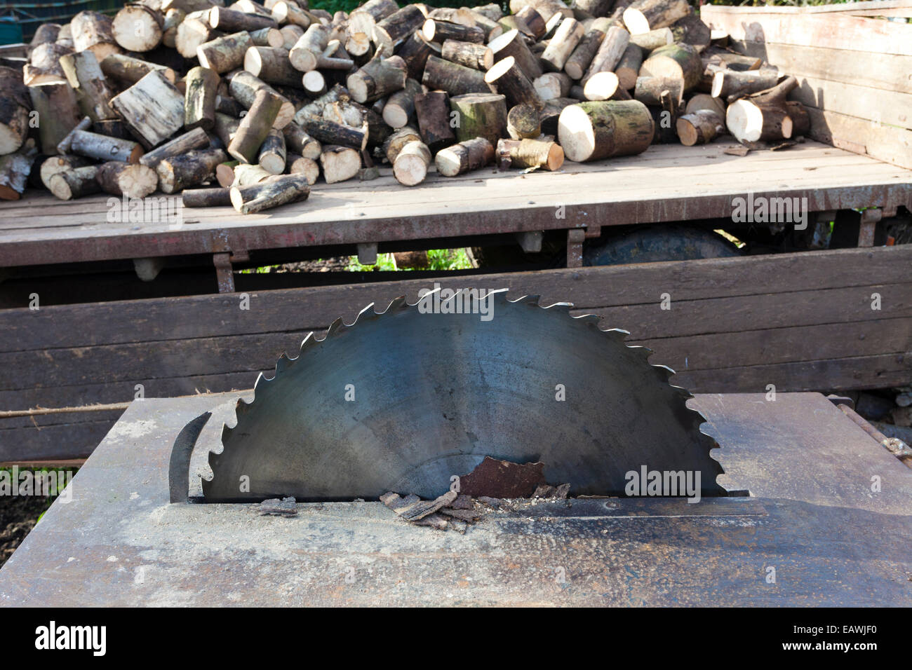 Circular saw bench and cut logs Stock Photo