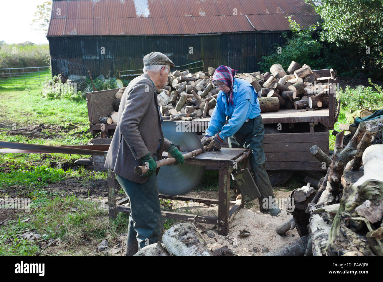 Cumbrian farmer Tom Brown, and his wife Jean cutting logs for a charity auction on a traditional circular saw bench on his farm Stock Photo