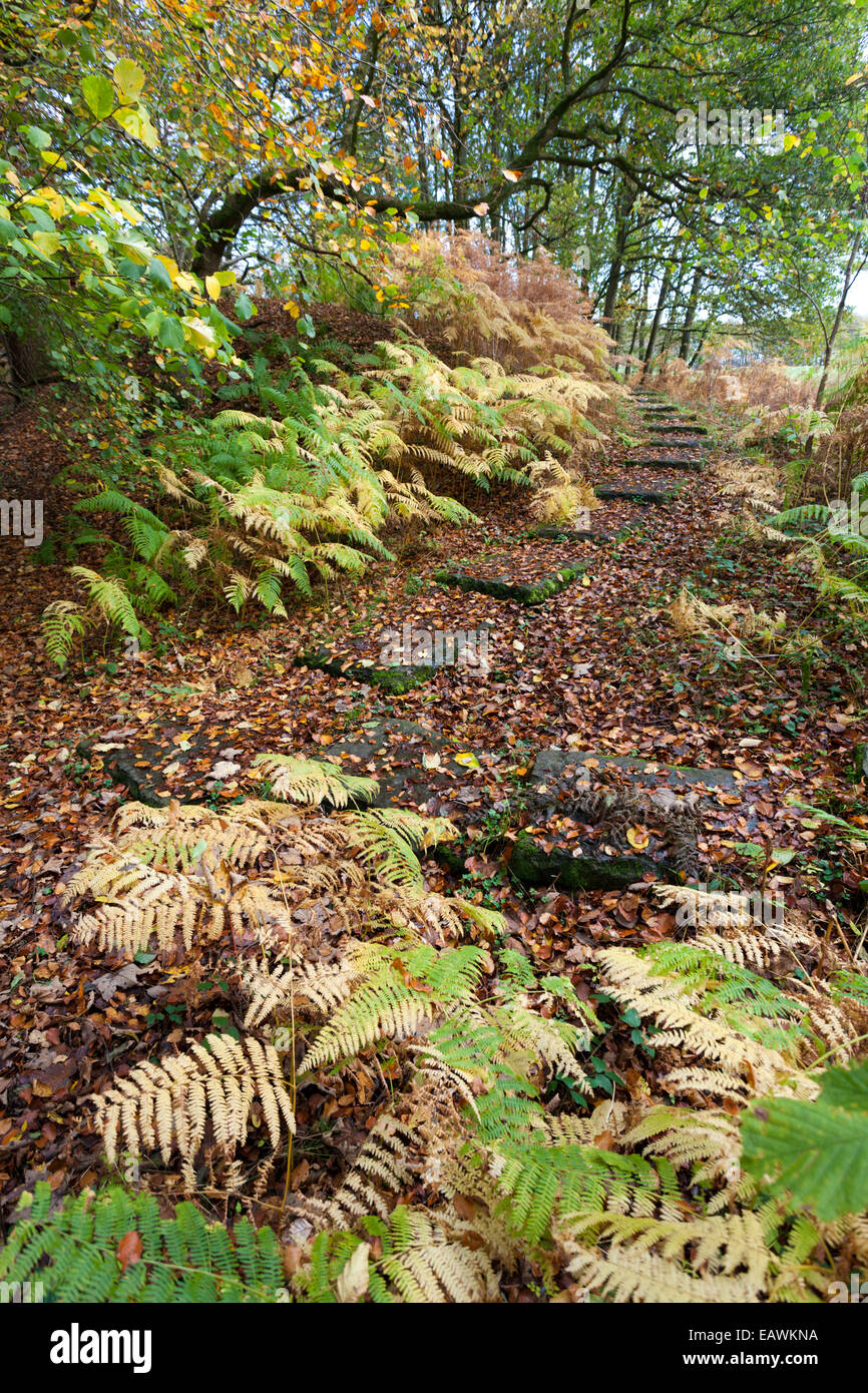 Autumn on Hadrians Wall Path at Cambeckhill, Cumbria UK Stock Photo