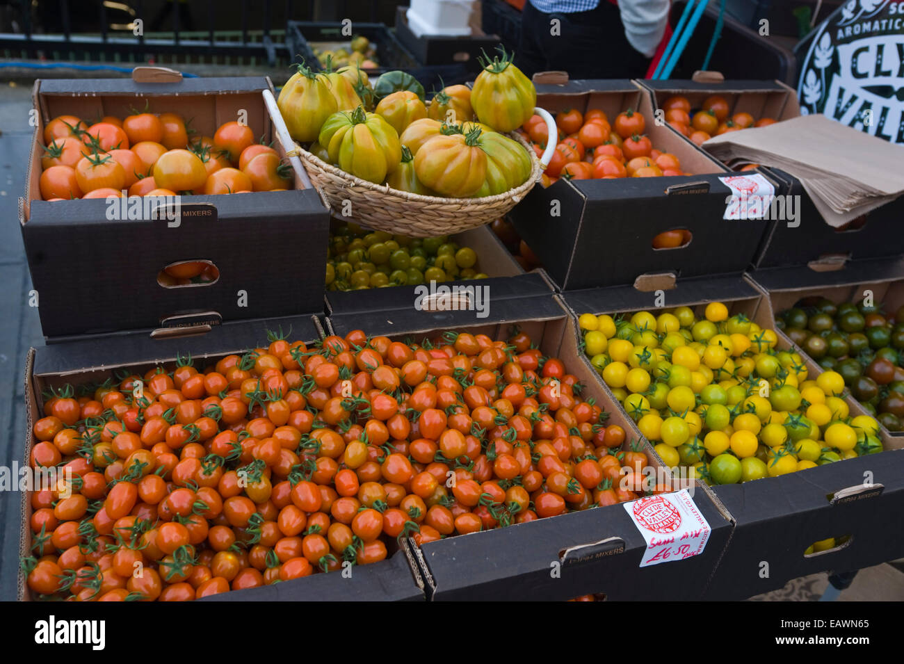 Clyde Valley tomatoes for sale on stall at Edinburgh Farmers Market in ...