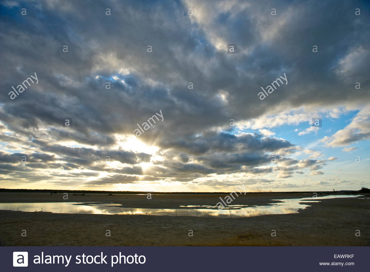 the vast mangrove swamps on andros island in the bahamas EAWRKF
