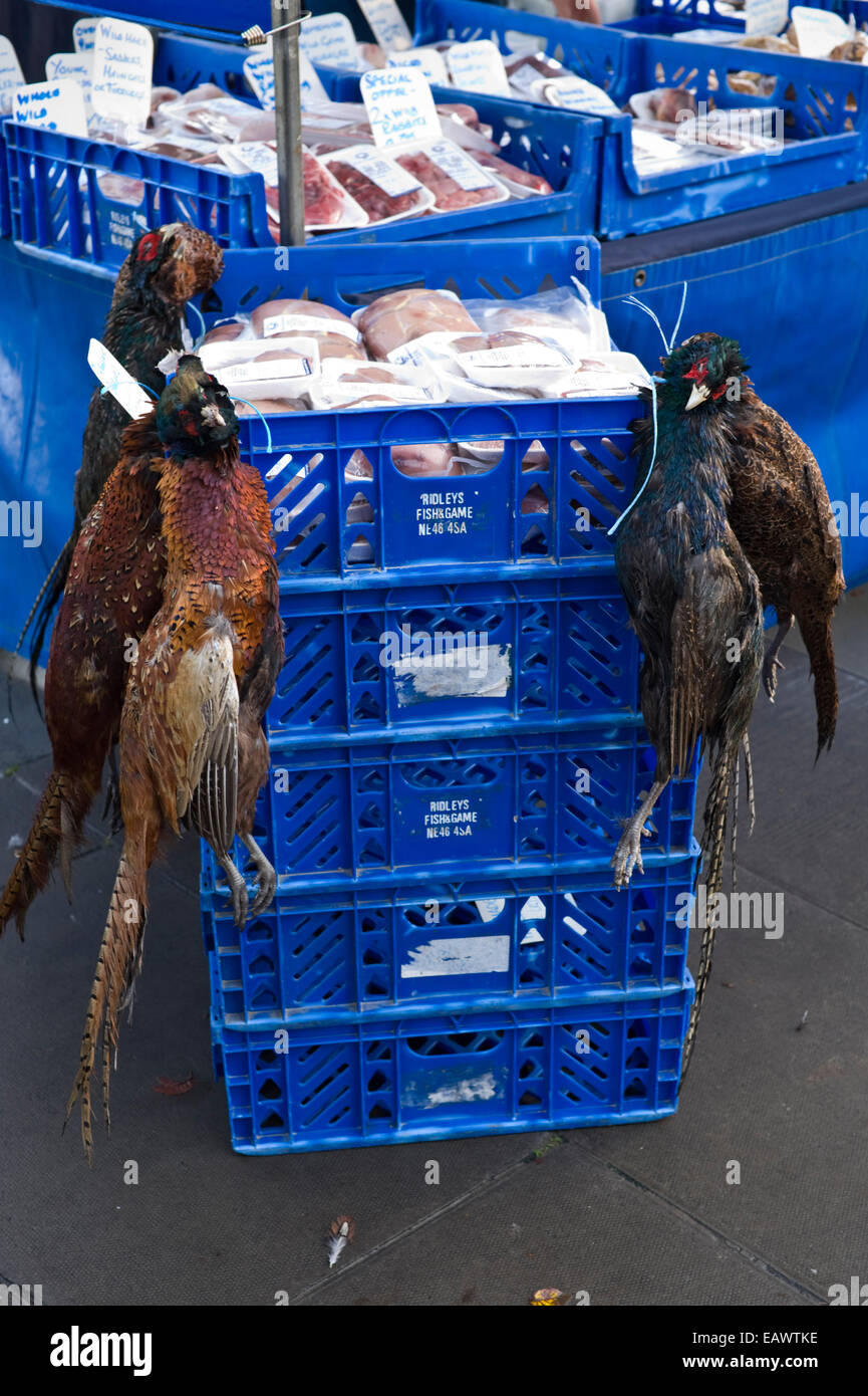 Pheasants for sale on stall at Edinburgh Farmers Market in city centre