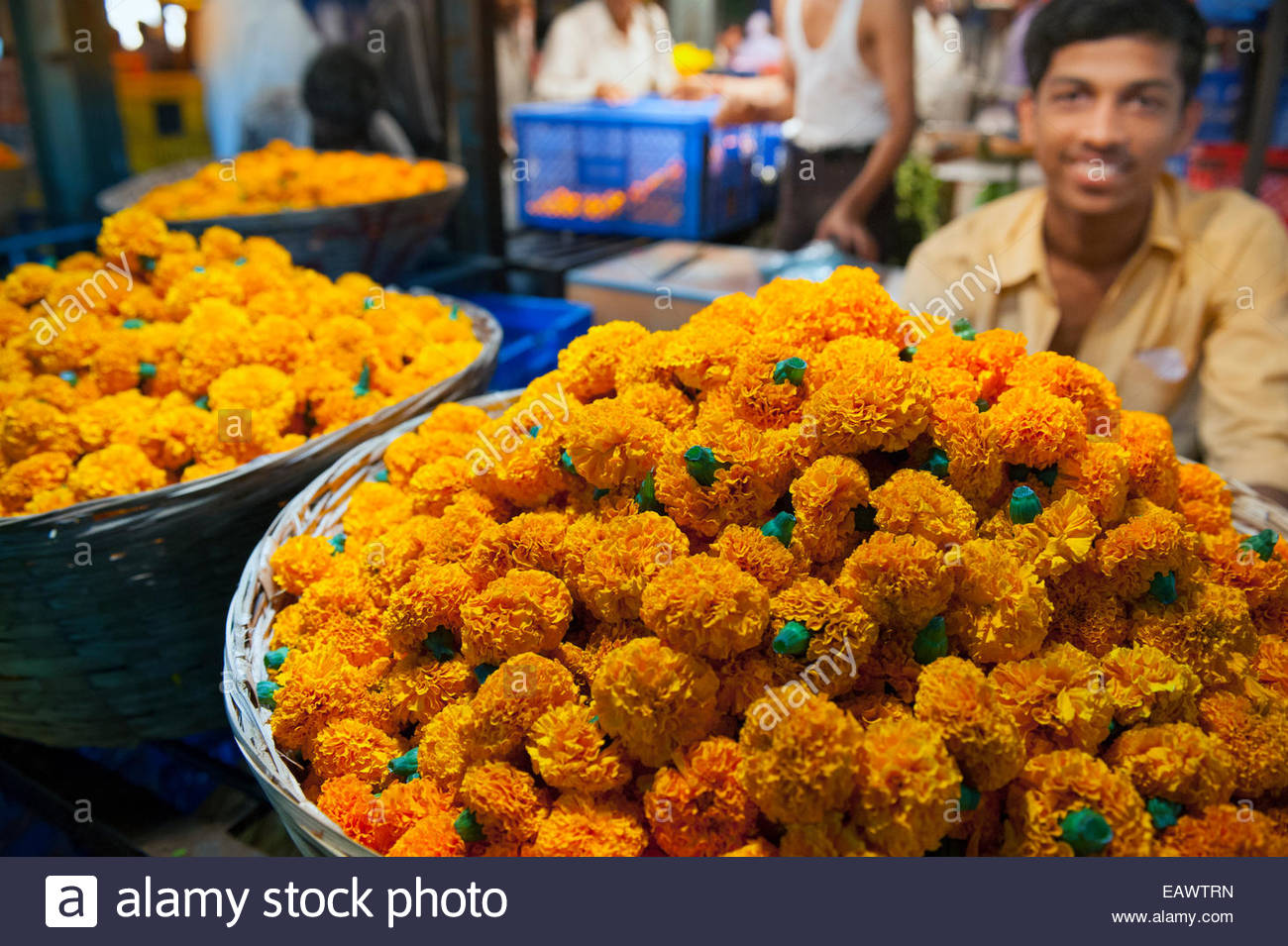 Marigold flowers for sale in the Dadar flower market Stock Photo ...