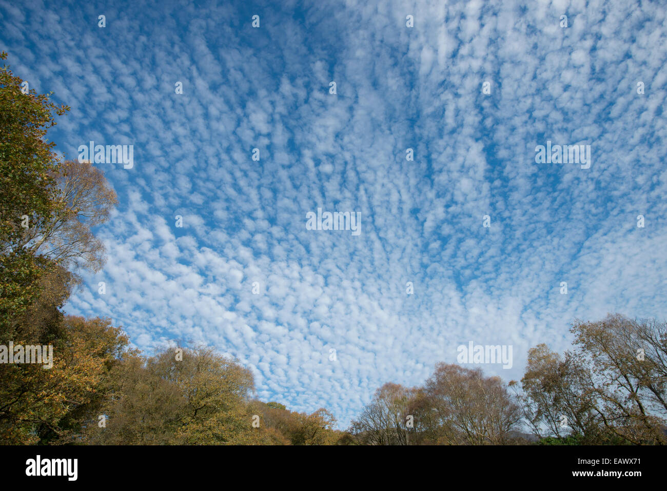 Cirrocumulus Clouds. north Wales Stock Photo