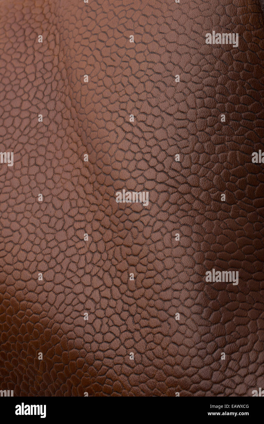 Rustic, textured shoe leather. Polished surface of English real brown