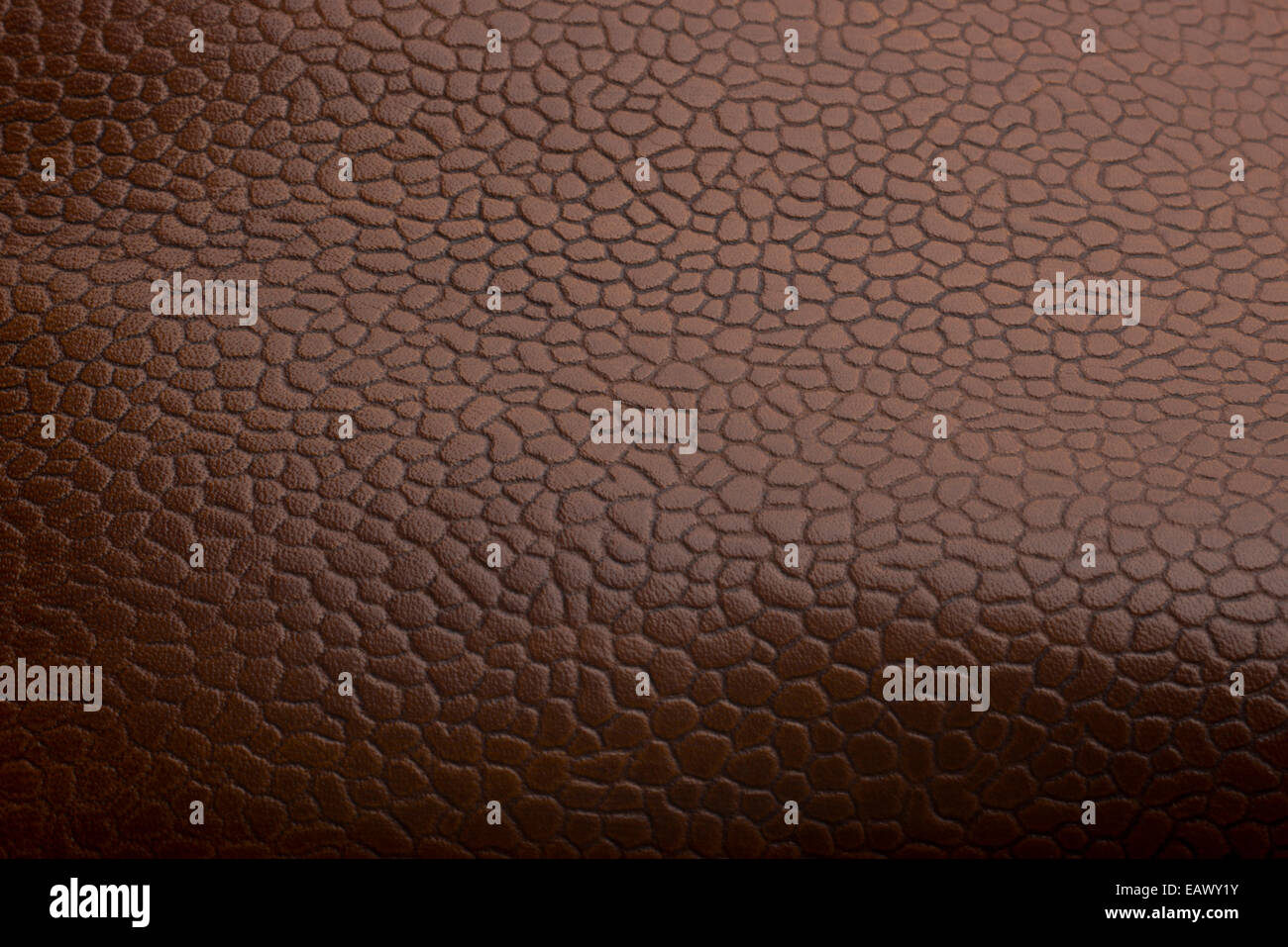 Rustic, textured shoe leather. Polished surface of English real brown
