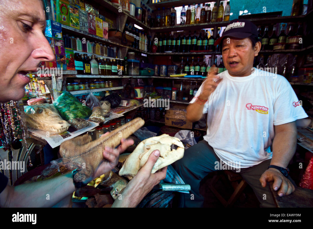 A conservationist discusses a Puma and River Dolphin skull with a black market shop owner. Stock Photo