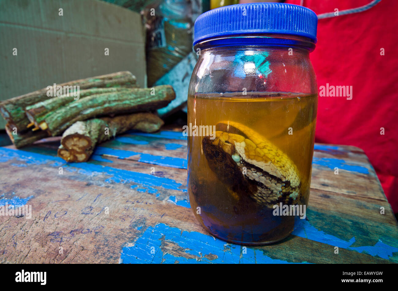 A South American Bushmaster head in alcohol for sale as traditional medicine in a black market. Stock Photo