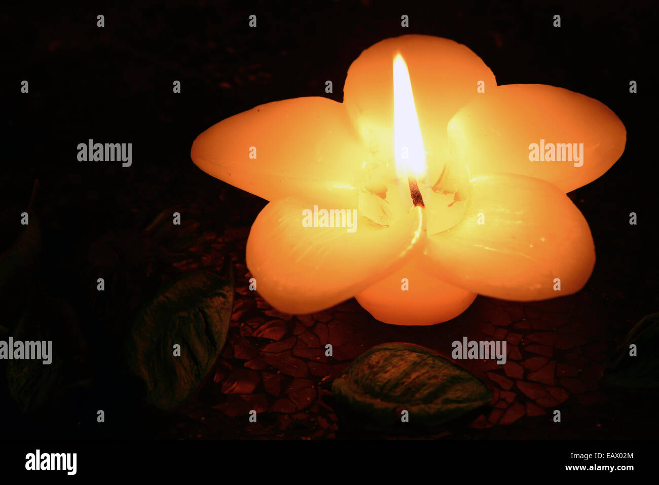 Candle flower burning hires stock photography and images Alamy