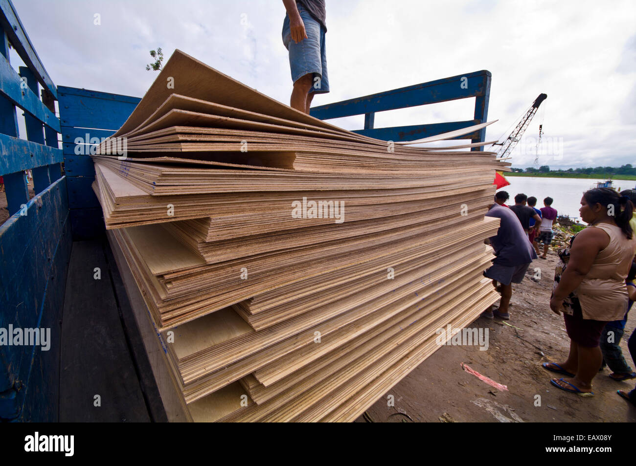 Timber planks are cut in a single piece from large Amazon rainforest trees for use in construction. Stock Photo