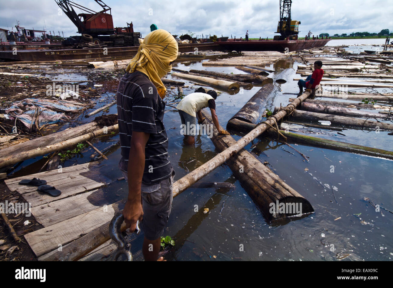 Laborers create a makeshift ramp to unload timber from a barge for ...