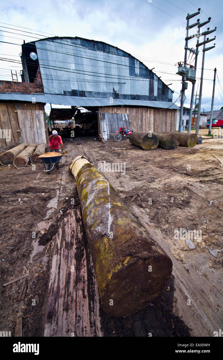 A winch drags a rainforest tree log with a steel cable into a logging mill for processing. Stock Photo