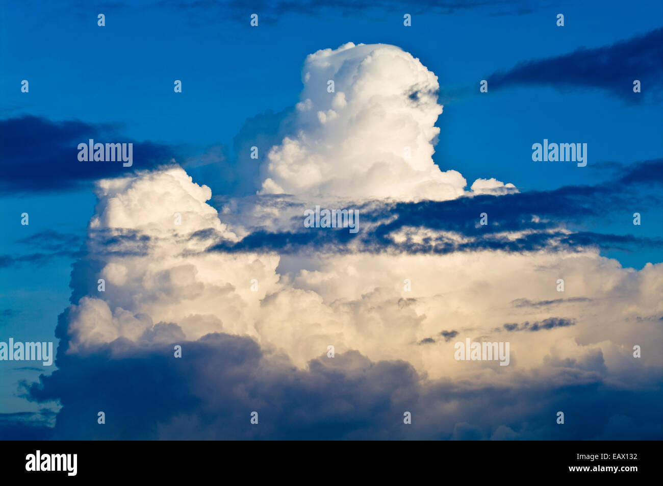 White thunderhead clouds billow into the sky as a storm brews above the Amazon rainforest. Stock Photo