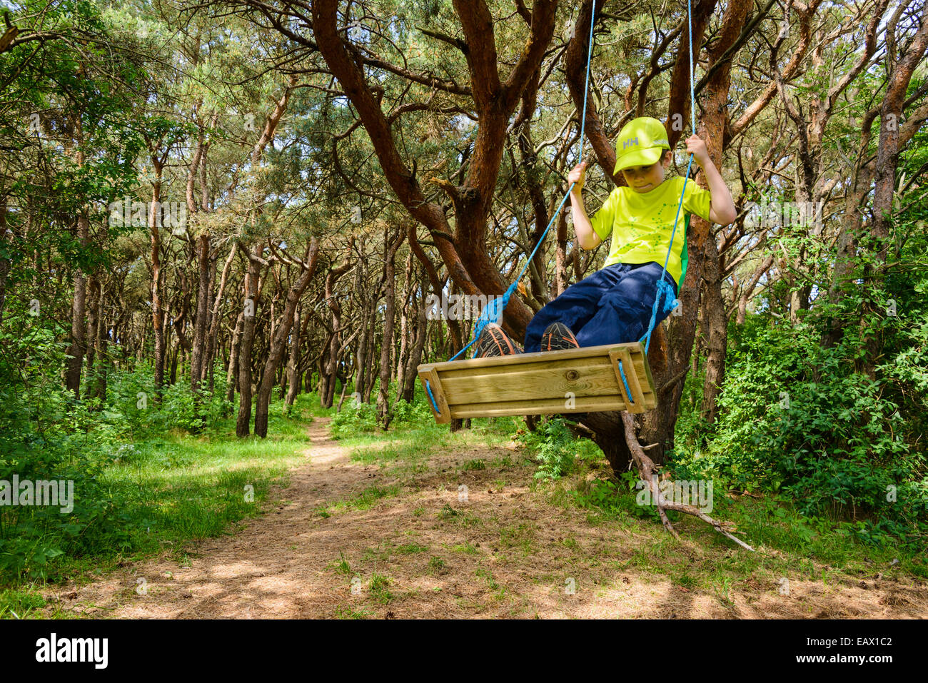 Young boy swings on a wooden swing in a forest Stock Photo