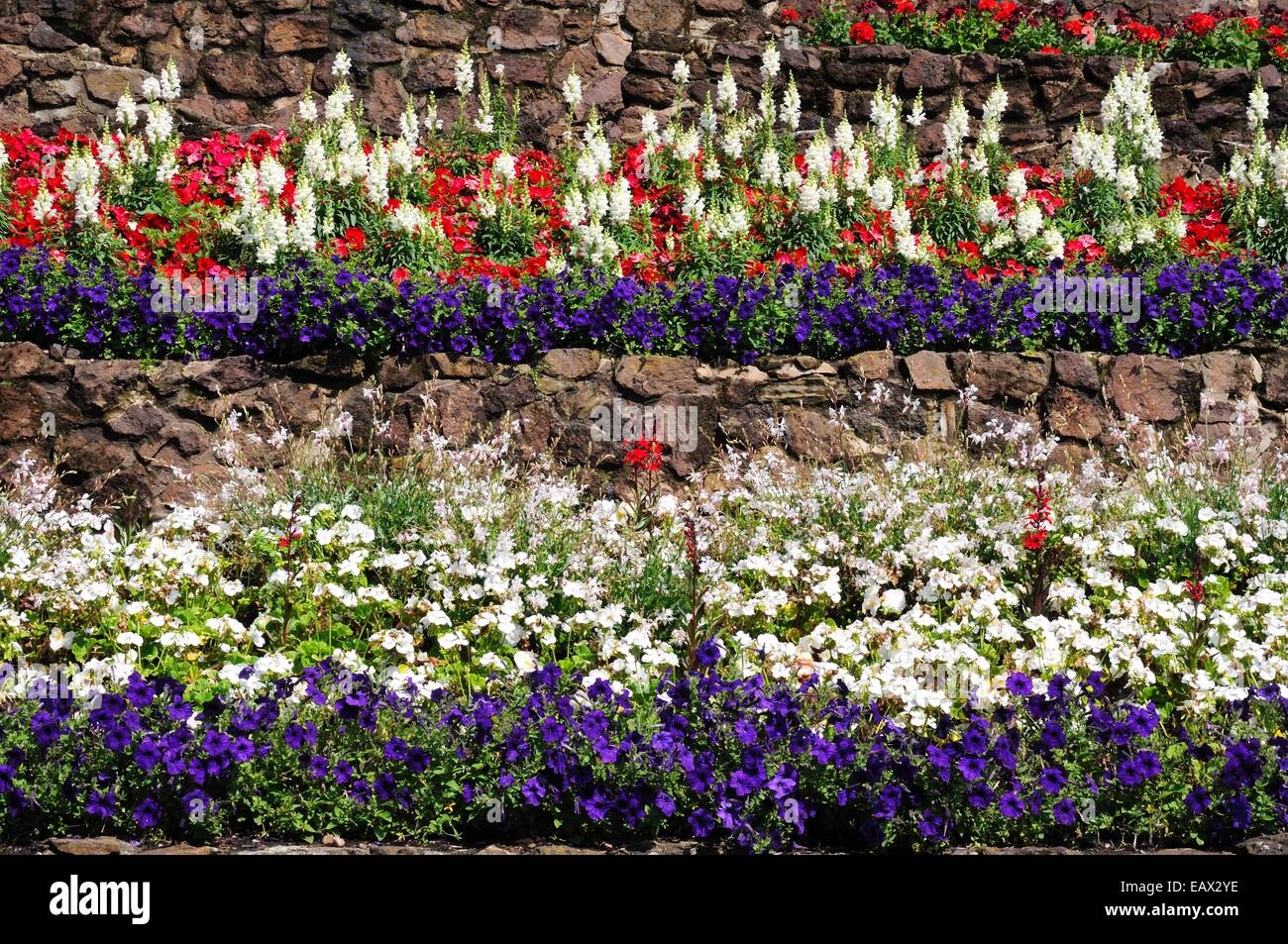Terraced flowerbeds with Snapdragon, petunias, begonias and geraniums. Stock Photo