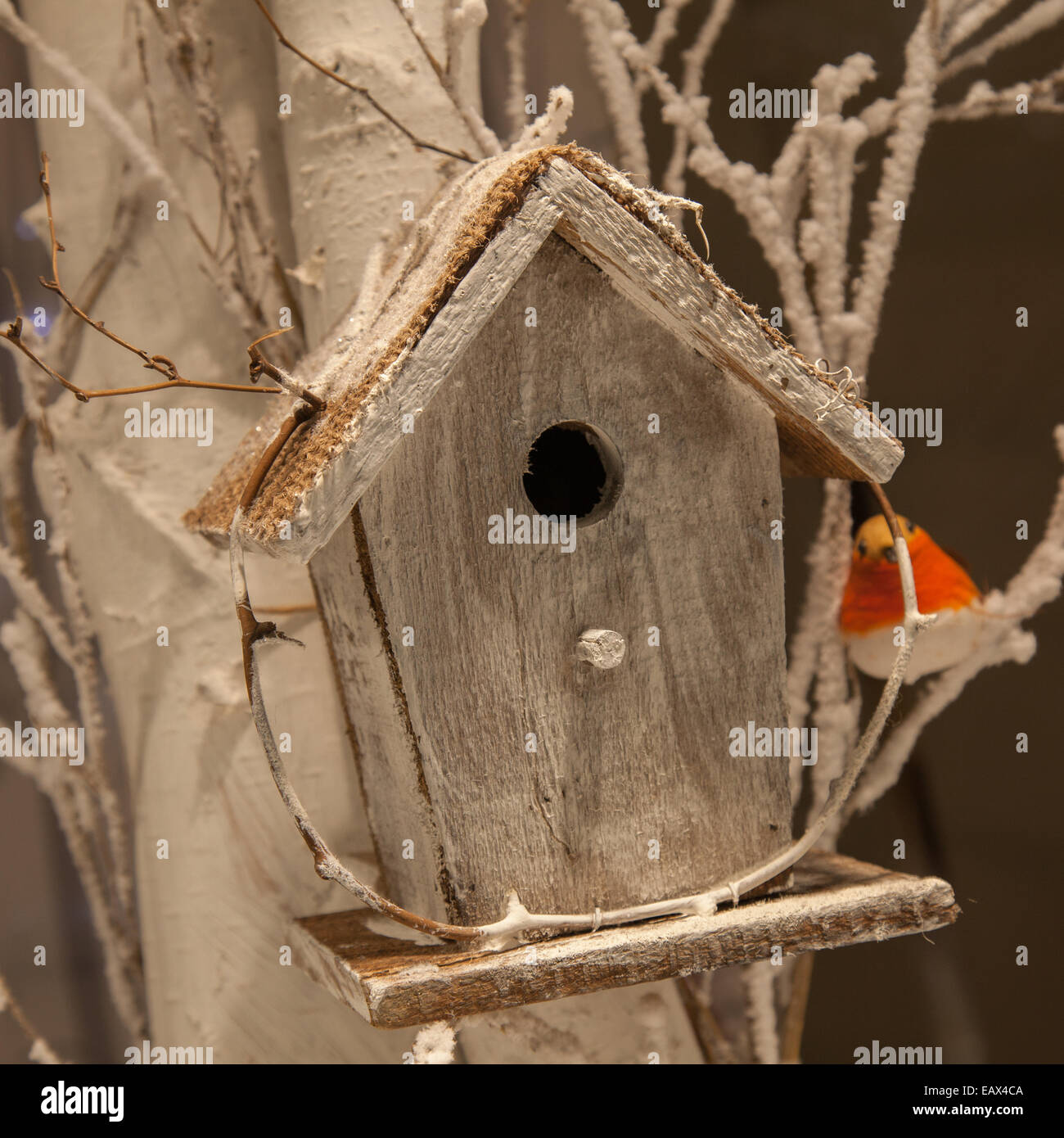 Shop Window display of wooden festive Nest Box, or bird house with stuffed xmas Robin on a branch, Manchester, UK Stock Photo