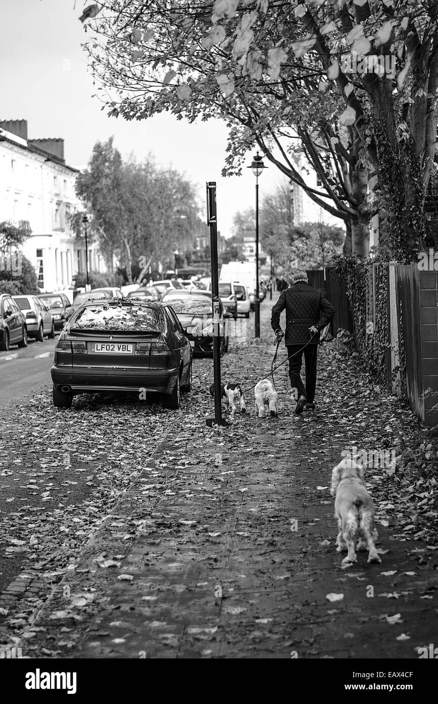 Quiete street in Belsize Park. North London Stock Photo