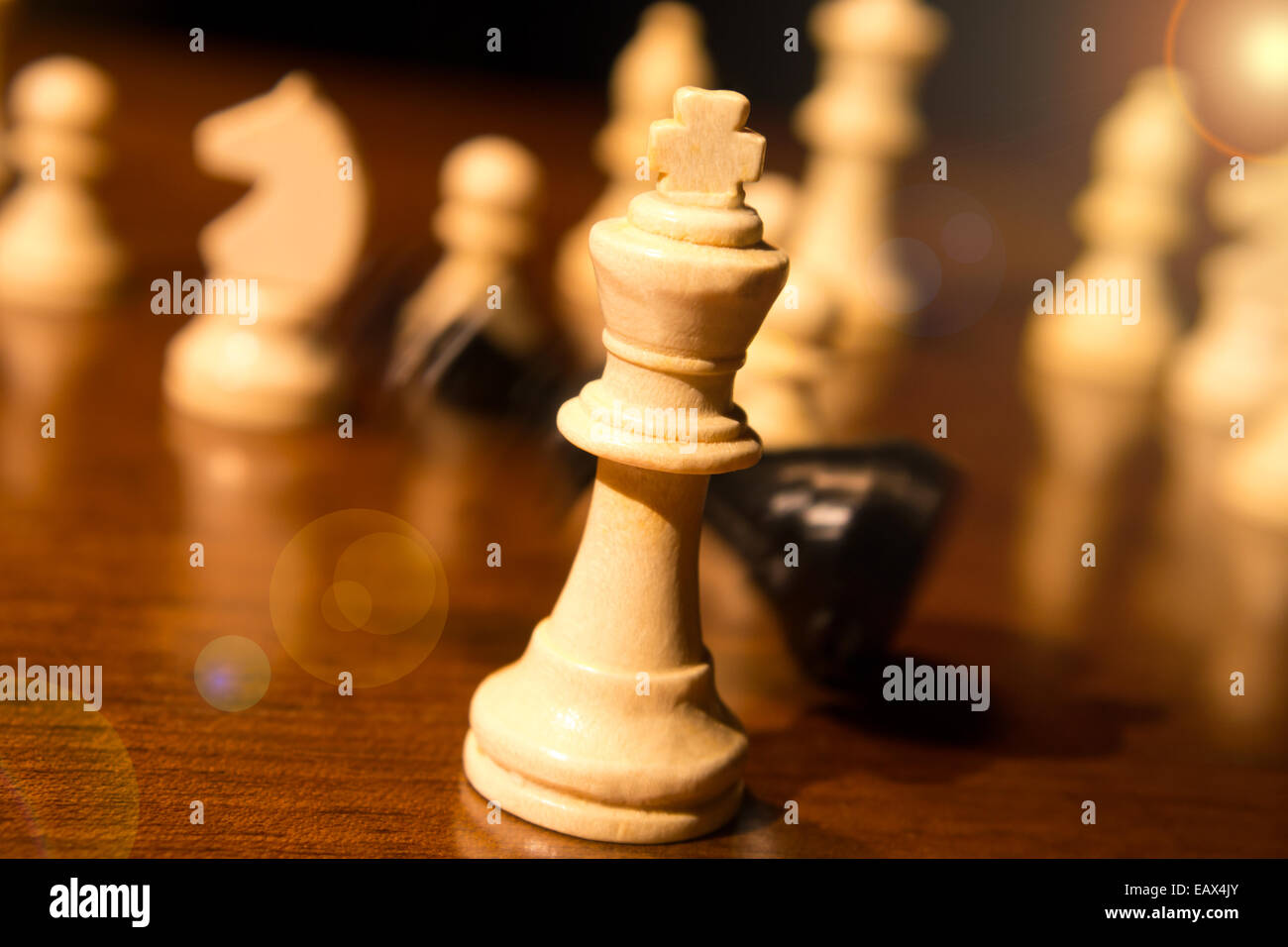 Checkmate HD Wallpaper  Chess queen, Chess king, Chess