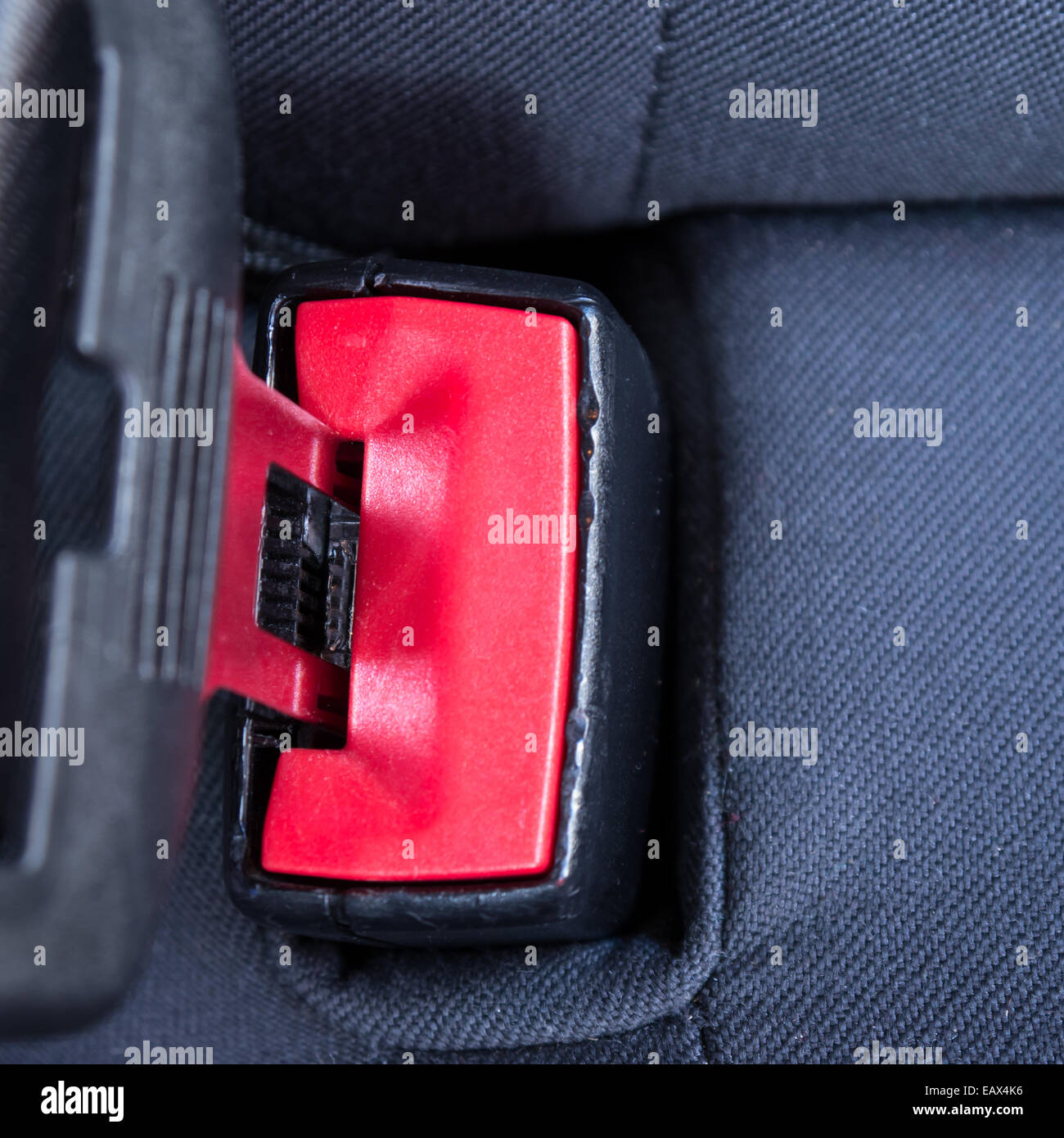 fastening seat belt in a car Stock Photo