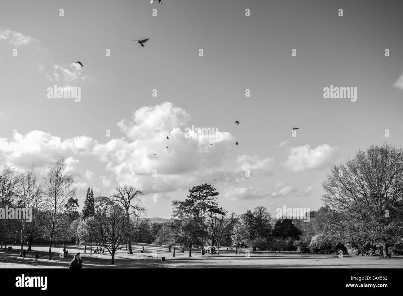 Golders Hill Park situated in Golders Green, borough of Barnet in London. Stock Photo