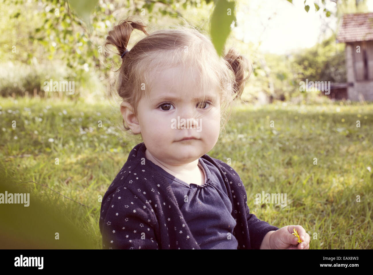 Baby girl outdoors, portrait Stock Photo - Alamy