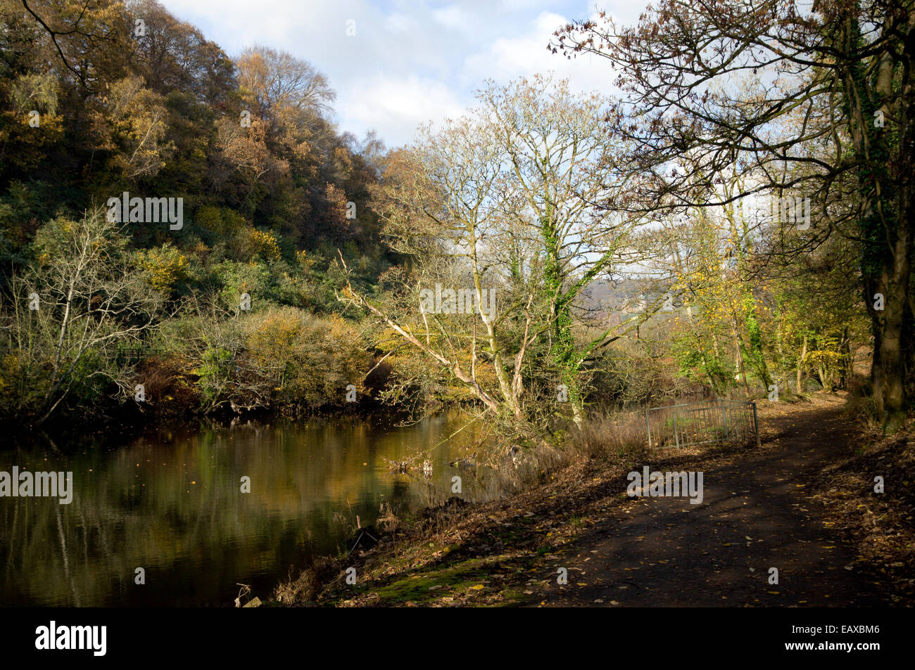 River Taff and Taff Trail, Radyr, Cardiff, South Wales Stock Photo - Alamy