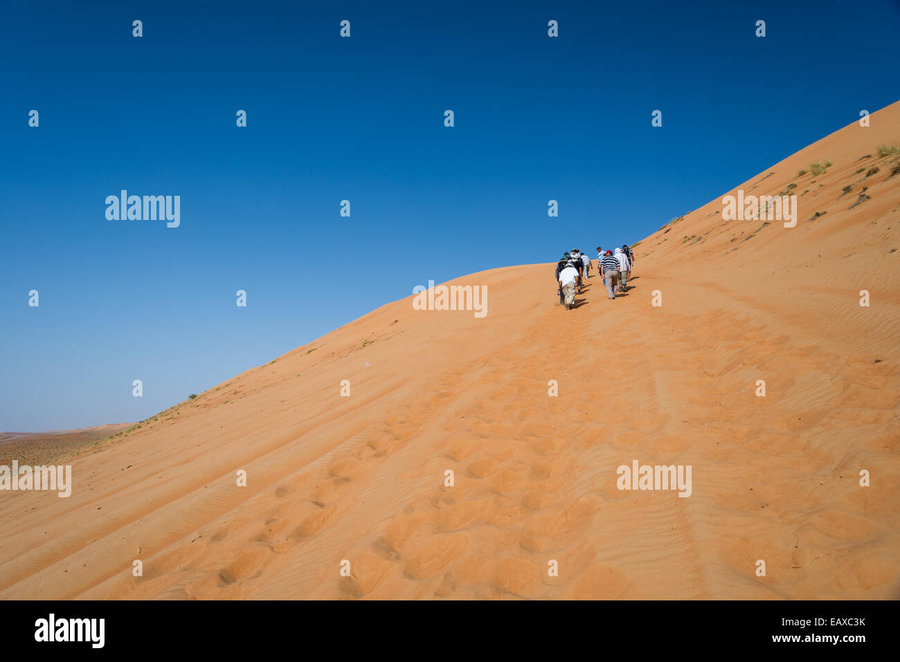Hikers climbing up a sand dune in the Empty Quarter, Oman Stock Photo ...