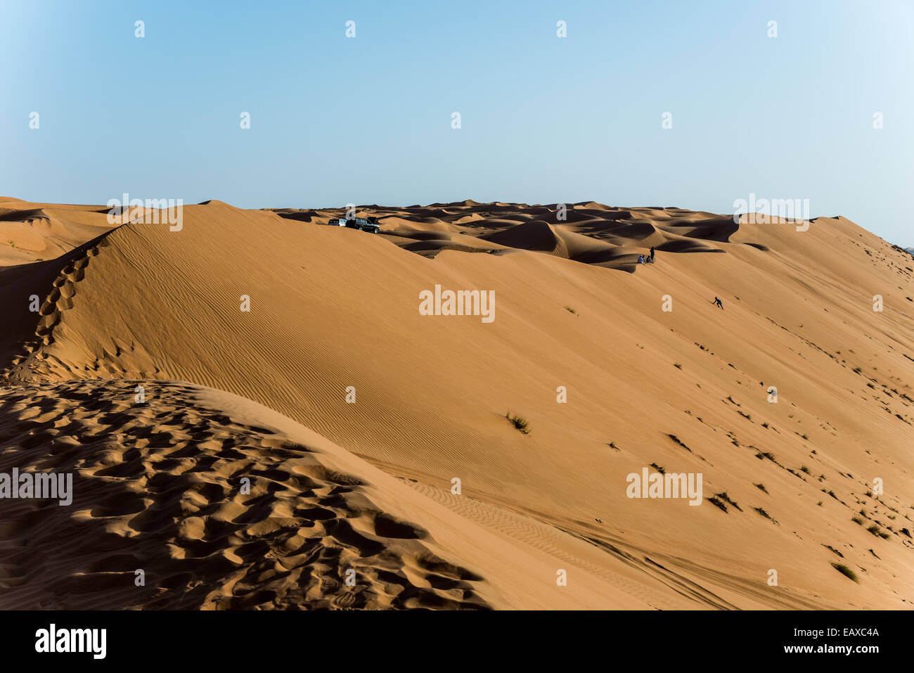A sea of sand dunes in the desert of Oman. Stock Photo