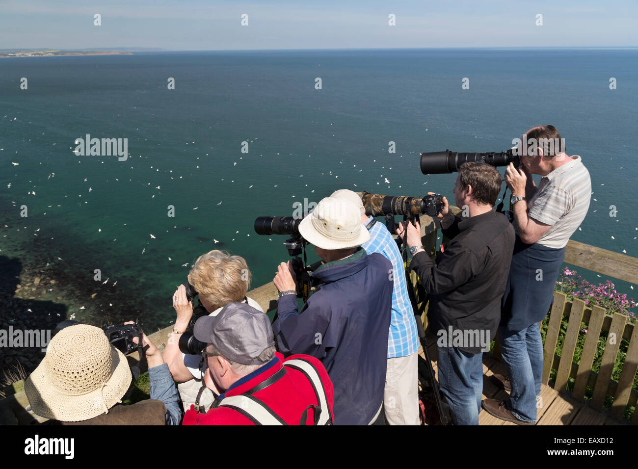 UK, Bempton Cliffs, people photographing the birds. Stock Photo