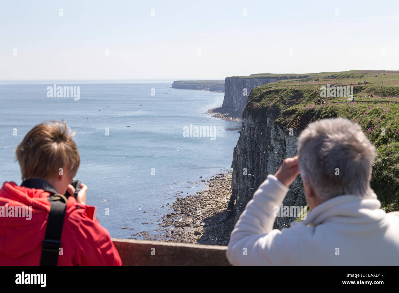 UK, Yorkshire, Bempton Cliffs, two people bird watching and photographing birds at the RSPB site. Stock Photo
