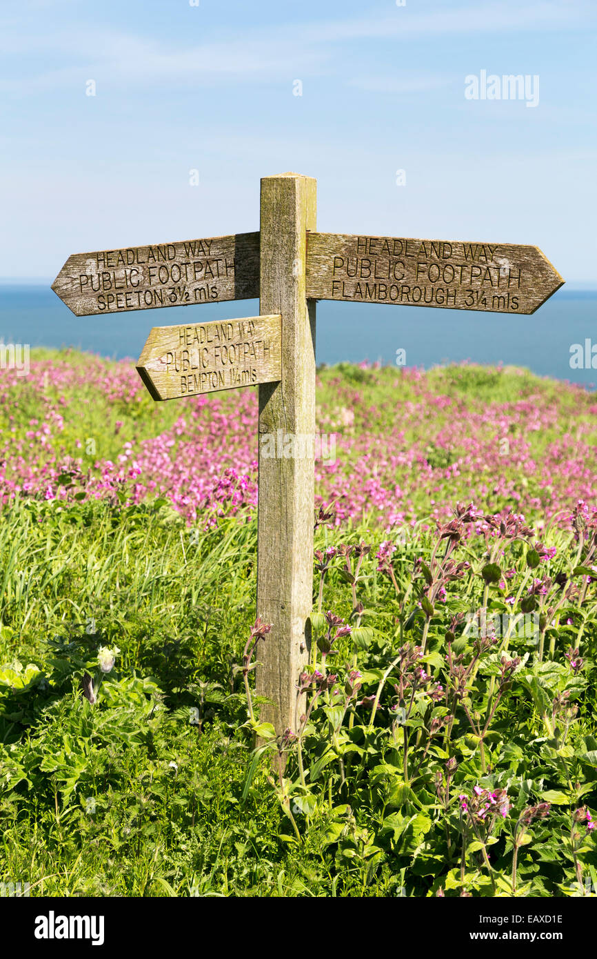 UK, Bempton Cliffs, 'Headland way' coastal path, footpath sign. Stock Photo