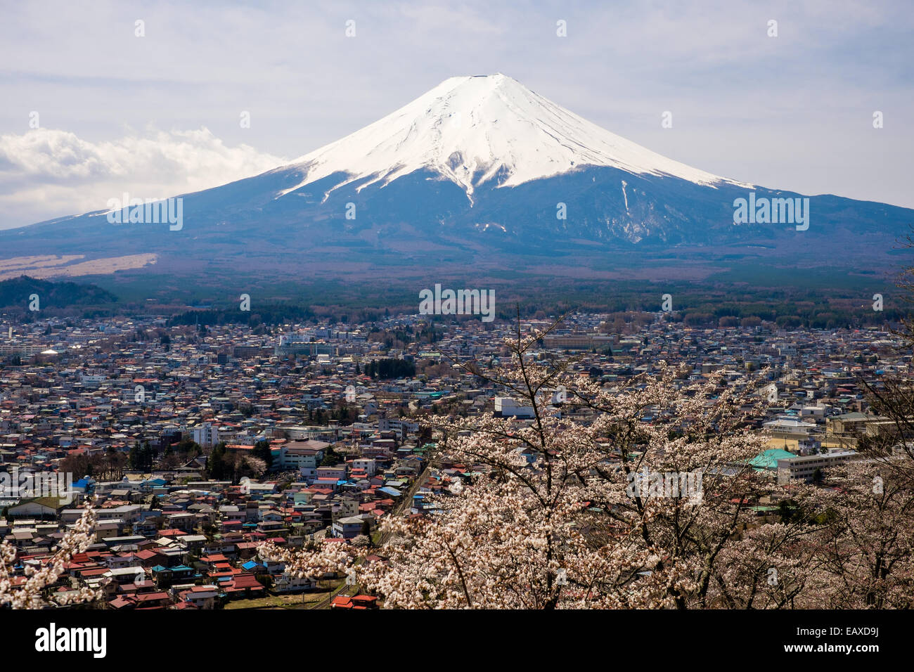 View of the majestic mount Fuji in Japan Stock Photo