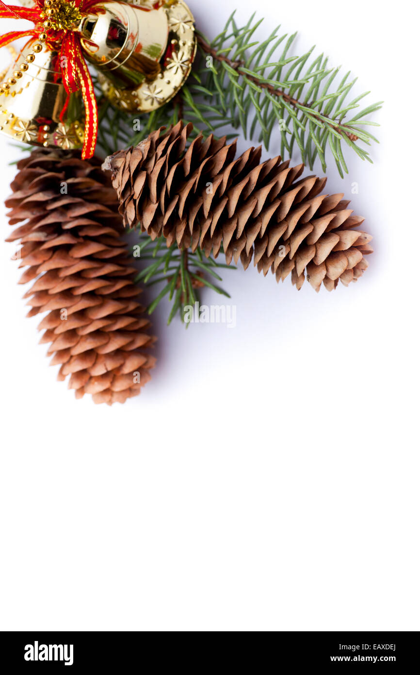 Christmas Pine cones isolated on white background Stock Photo - Alamy