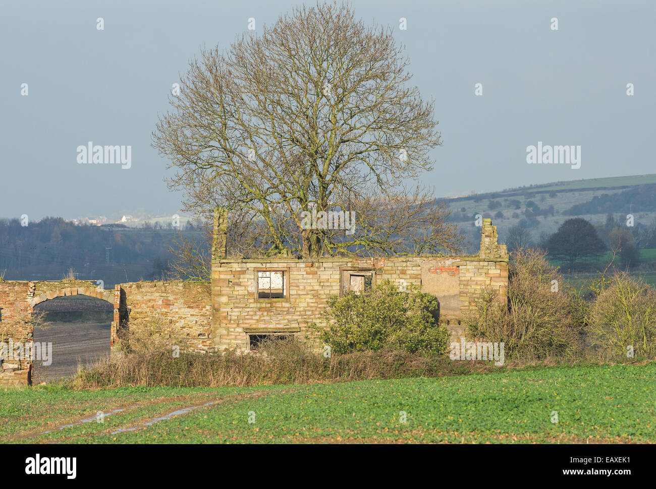 Ruined stone built farm house with tree. Stock Photo