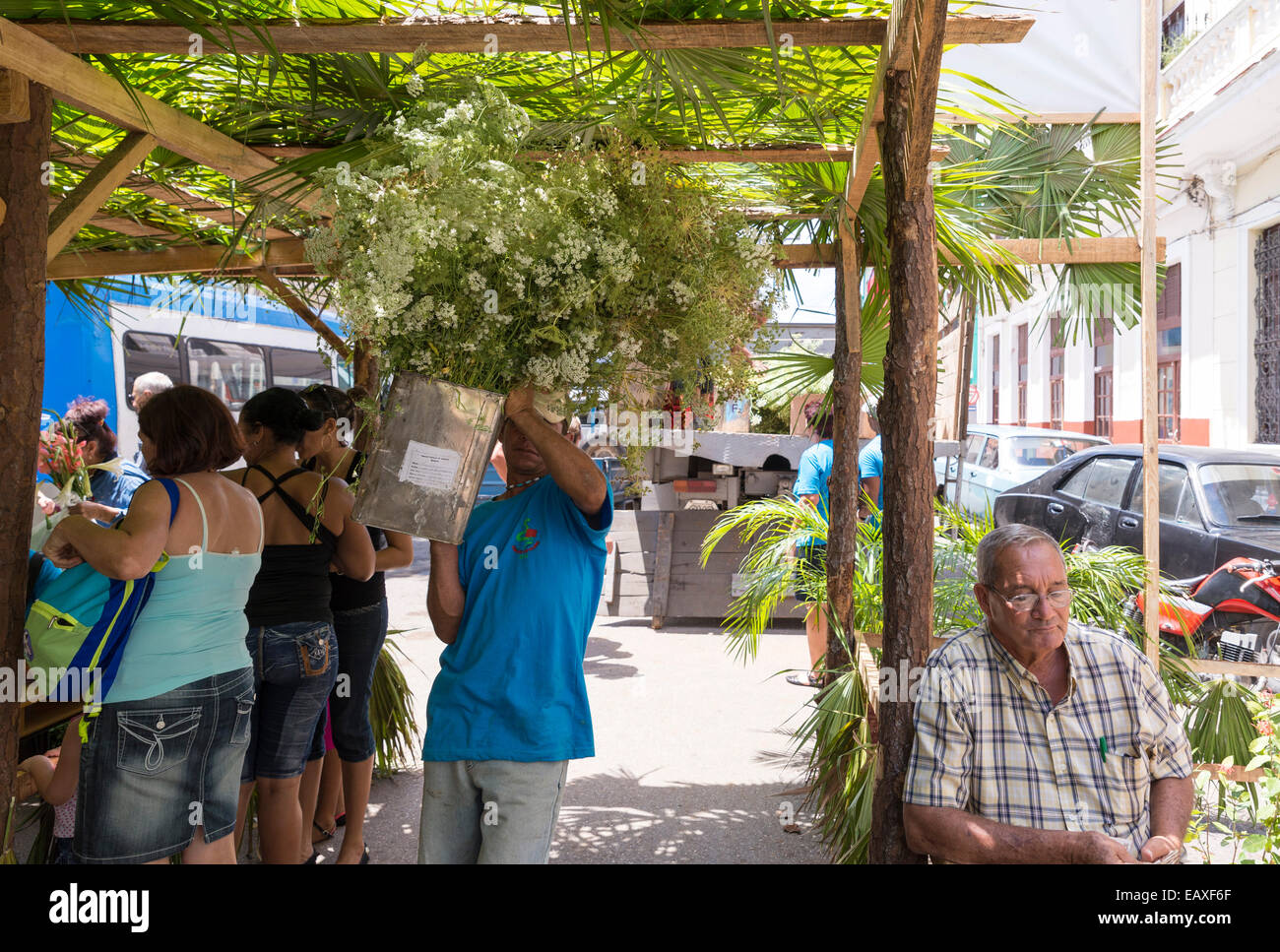 MATANZAS, CUBA - MAY 10, 2014: Lively street market of flowers and plants the day before Mother's Day. Mother's Day is celebrate Stock Photo