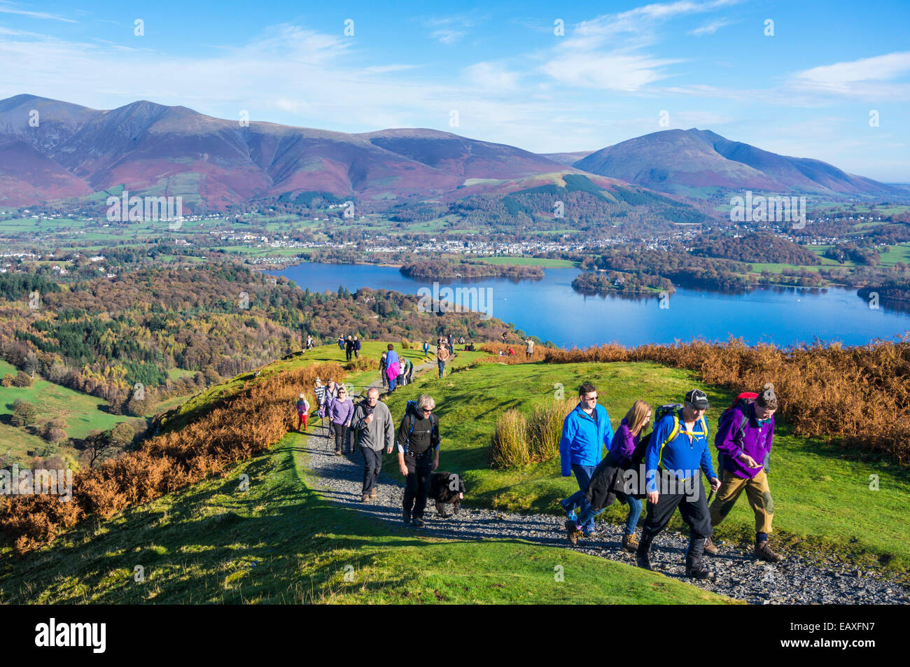 Hikers on Brandelhow above Derwent Water English Lake District Cumbria England UK GB EU Europe Stock Photo