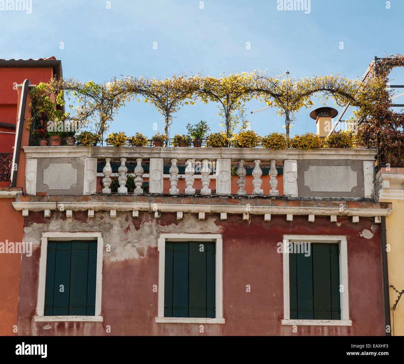 Venice, Italy. A Venetian roof garden, or altana, seen from the street Stock Photo