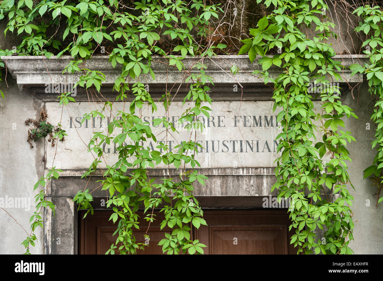 The entrance to a now disused girls school in Venice, Italy, overgrown with Virginia creeper (Parthenocissus) Stock Photo