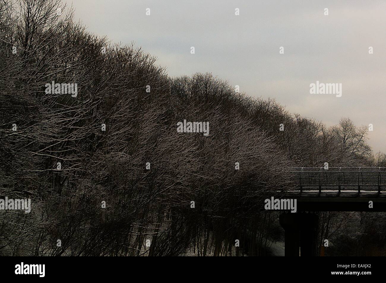 Ice covered trees and brush off a highway with a bridge overpass on a cold and icy  overcast day. Stock Photo