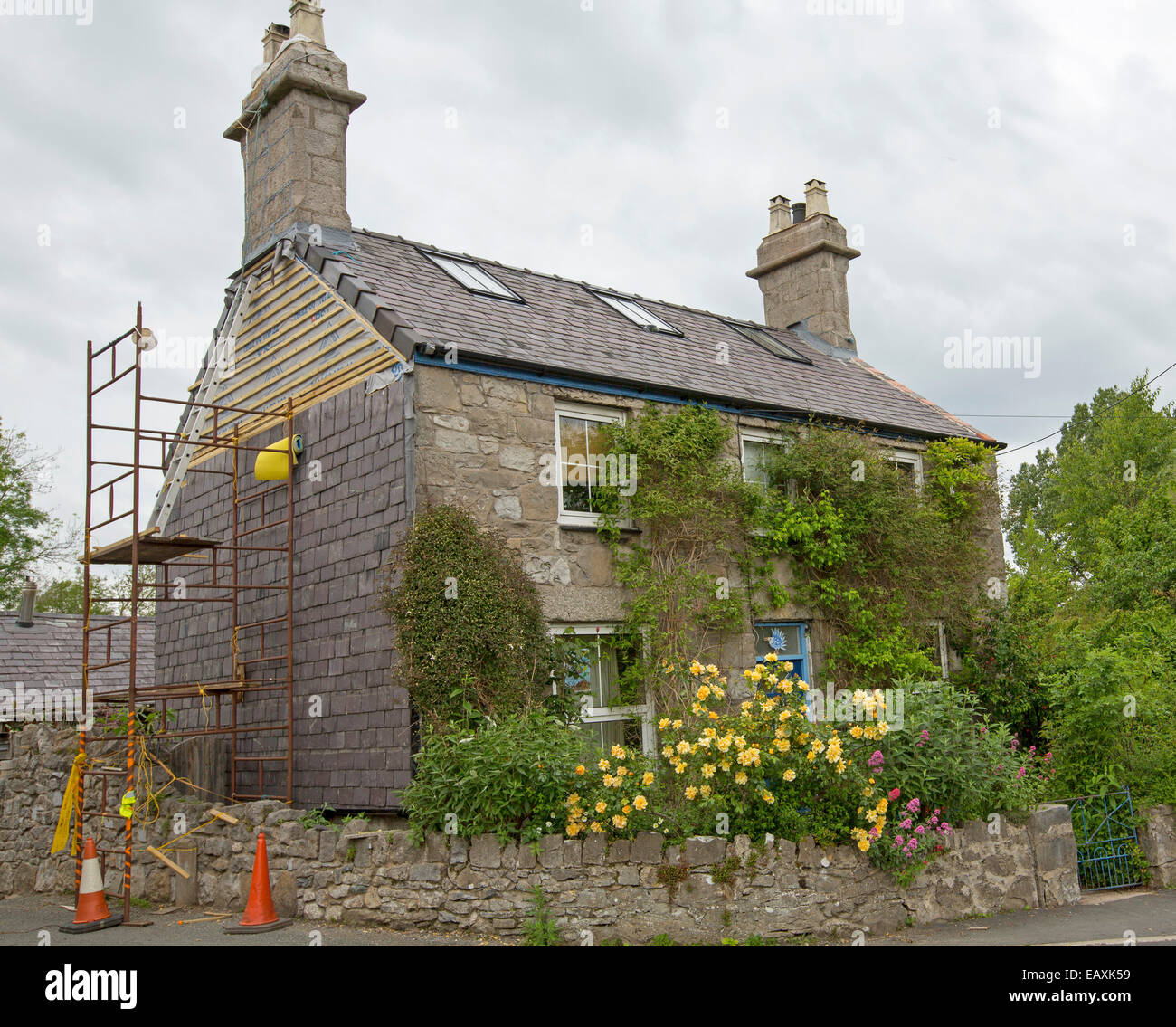 Old stone cottage with colourful garden in Welsh village with scaffolding erected by high wall undergoing renovation work Stock Photo