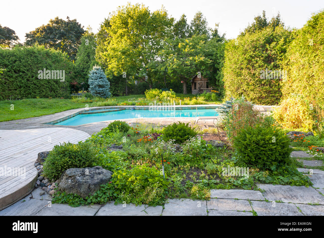 Backyard rock garden with outdoor inground residential private swimming pool and stone patio Stock Photo
