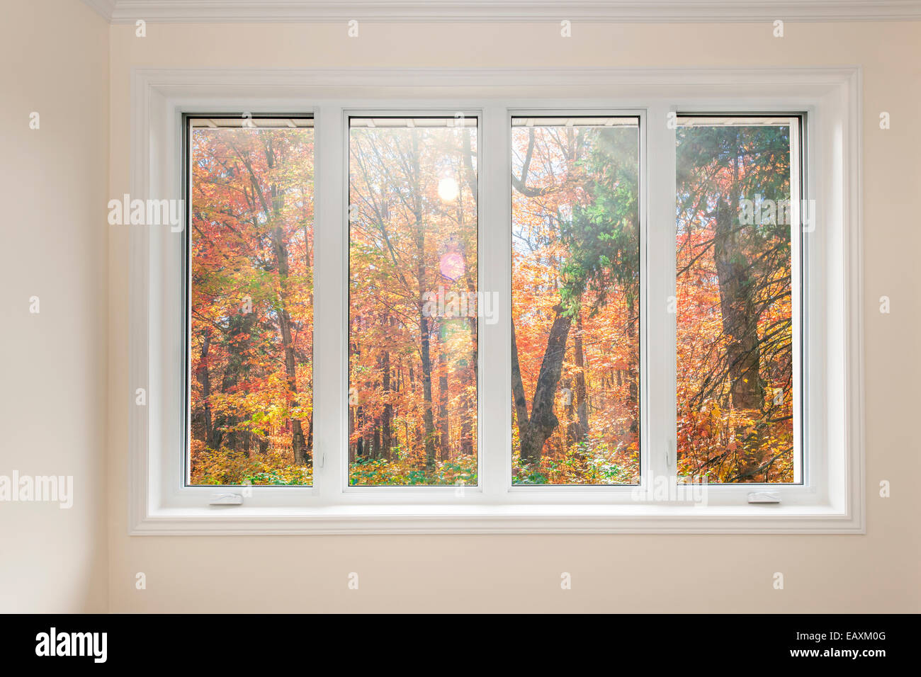 Large four pane window looking on colorful fall forest Stock Photo