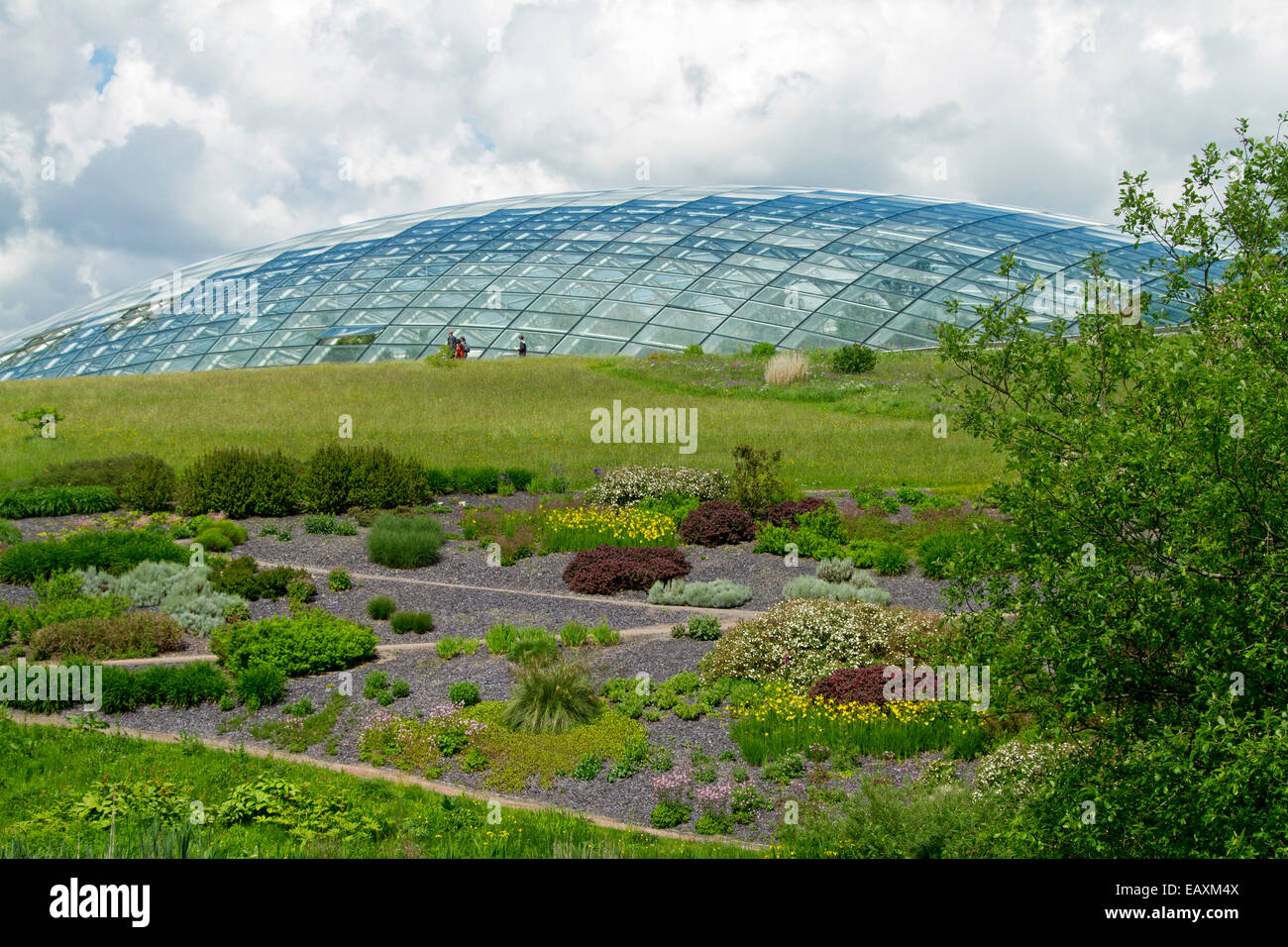 World's largest greenhouse, conservatory at National Botanic Gardens of Wales, dwarfing people in adjacent meadow and gardens Stock Photo