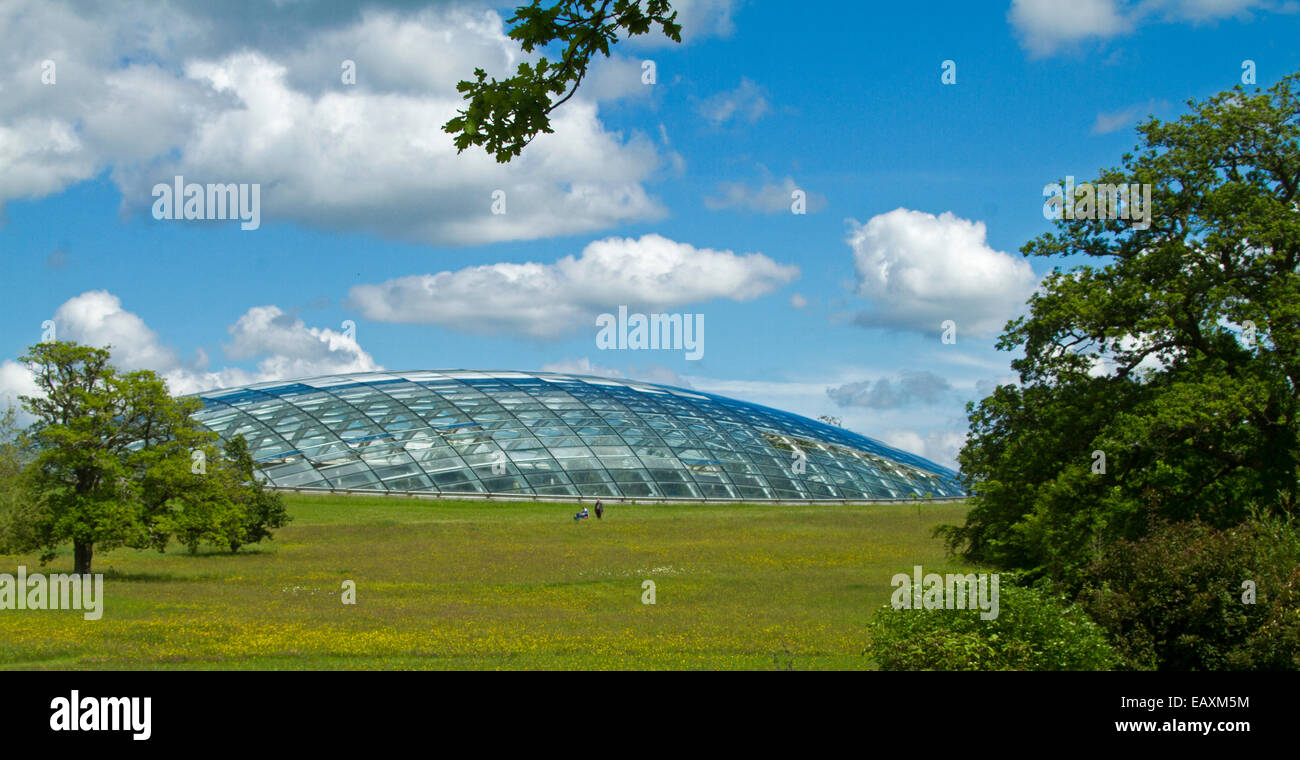 Panoramic view of World's largest greenhouse, domed conservatory at National Botanic Gardens of Wales, dwarfs people walking on adjacent meadow Stock Photo