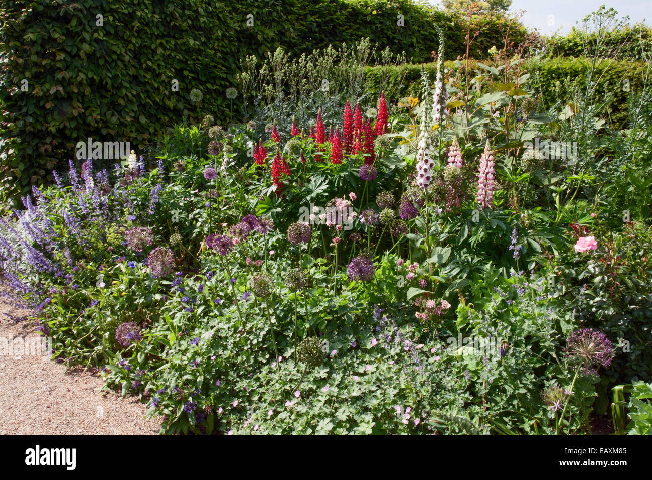 Herbaceous border path hi-res stock photography and images - Alamy