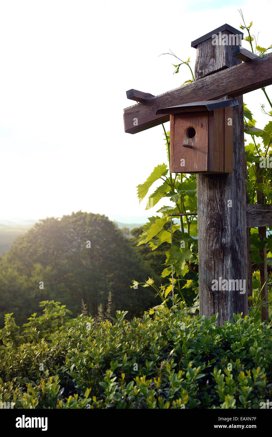 Bird house in natural habitat Stock Photo - Alamy