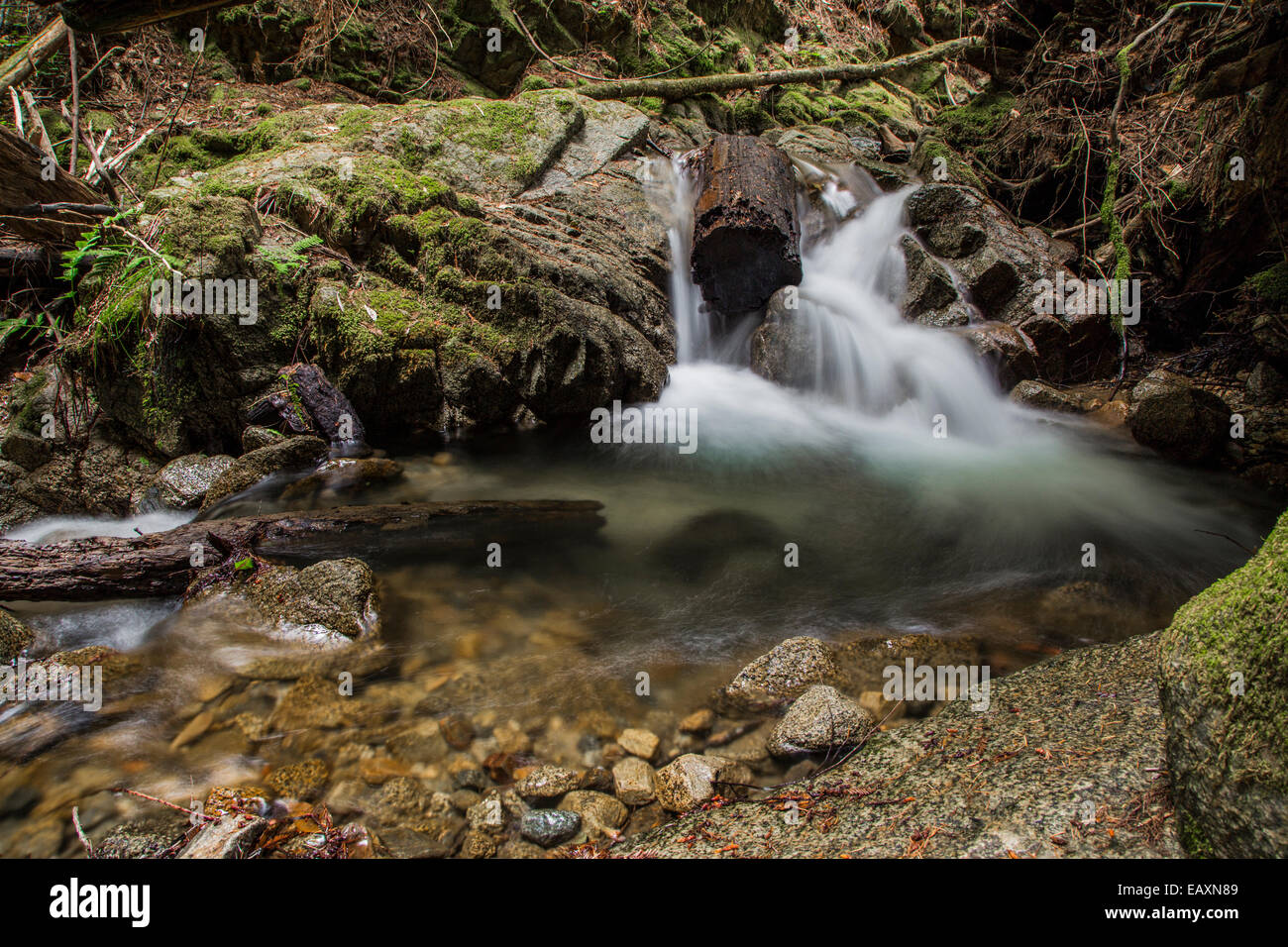 Waterfall on Fall Creek deep wooded nature scene. Stock Photo